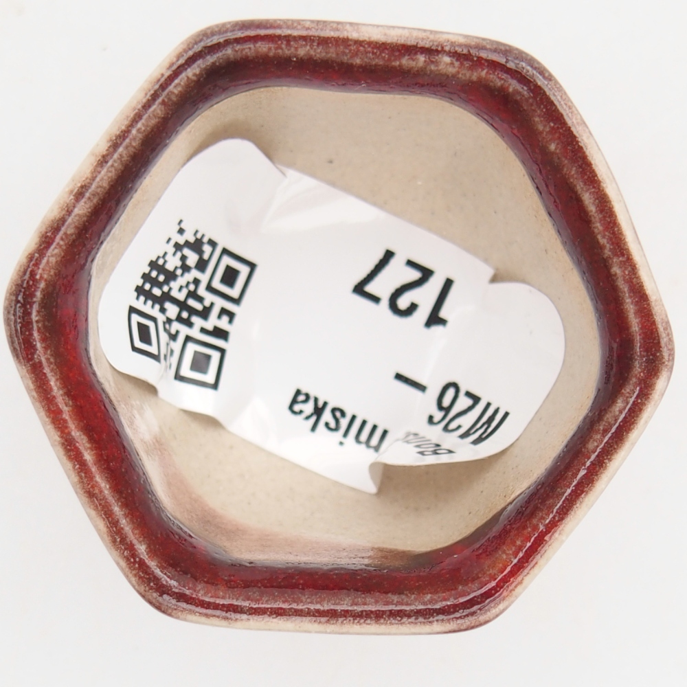 Mini bonsai miska 4 x 4 x 3 cm, barva červená