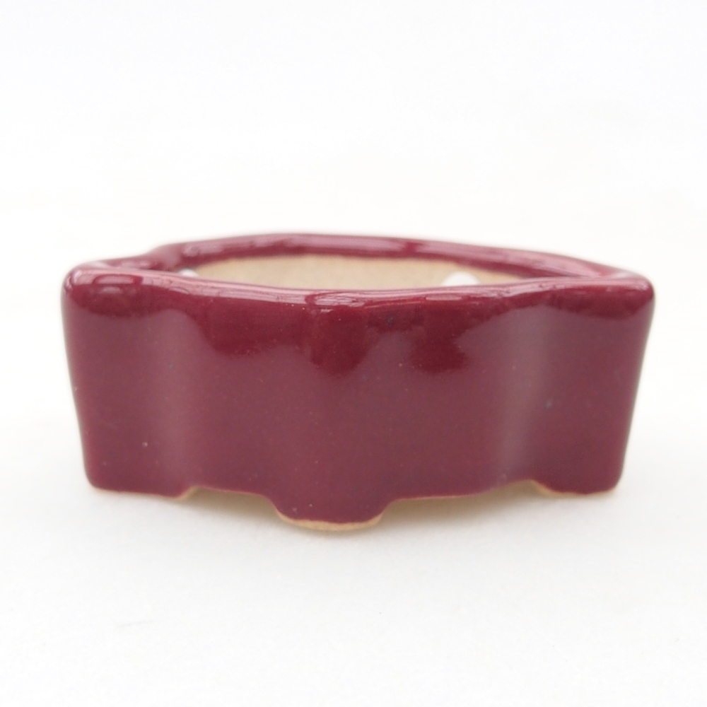 Mini bonsai miska 5 x 3 x 2 cm, barva vínová