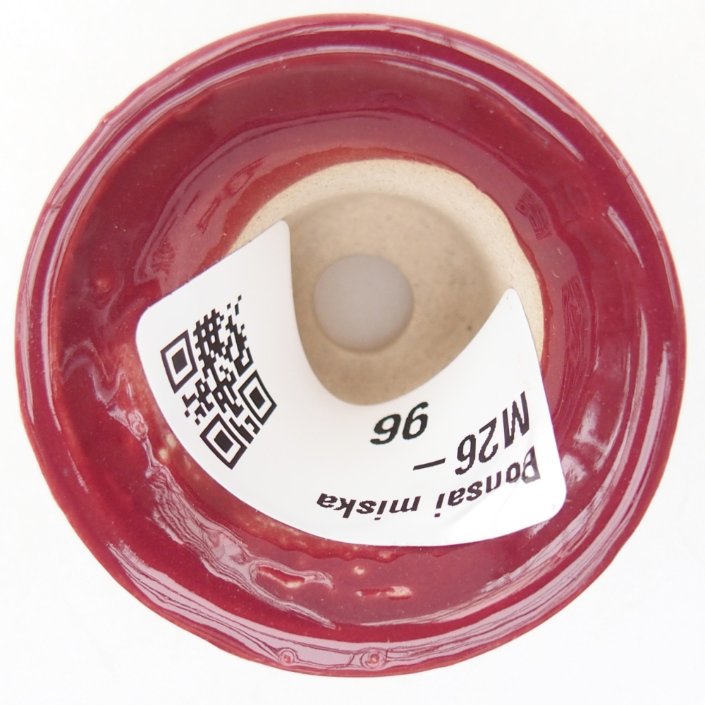 Mini bonsai miska 4,5 x 4,5 x 4 cm, barva vínová