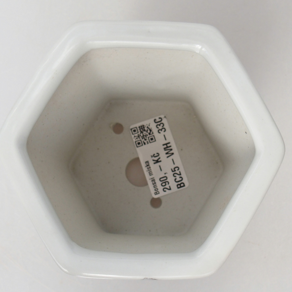 Keramická bonsai miska 10,5 x 9,5 x 9 cm, barva bílá