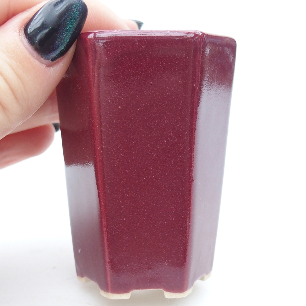 Mini bonsai miska 5 x 4,5 x 6,5 cm, barva vínová