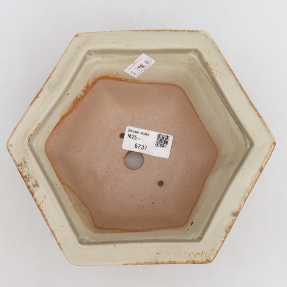 Keramická bonsai miska 18,5 x 16,5 x 9 cm, barva zelená