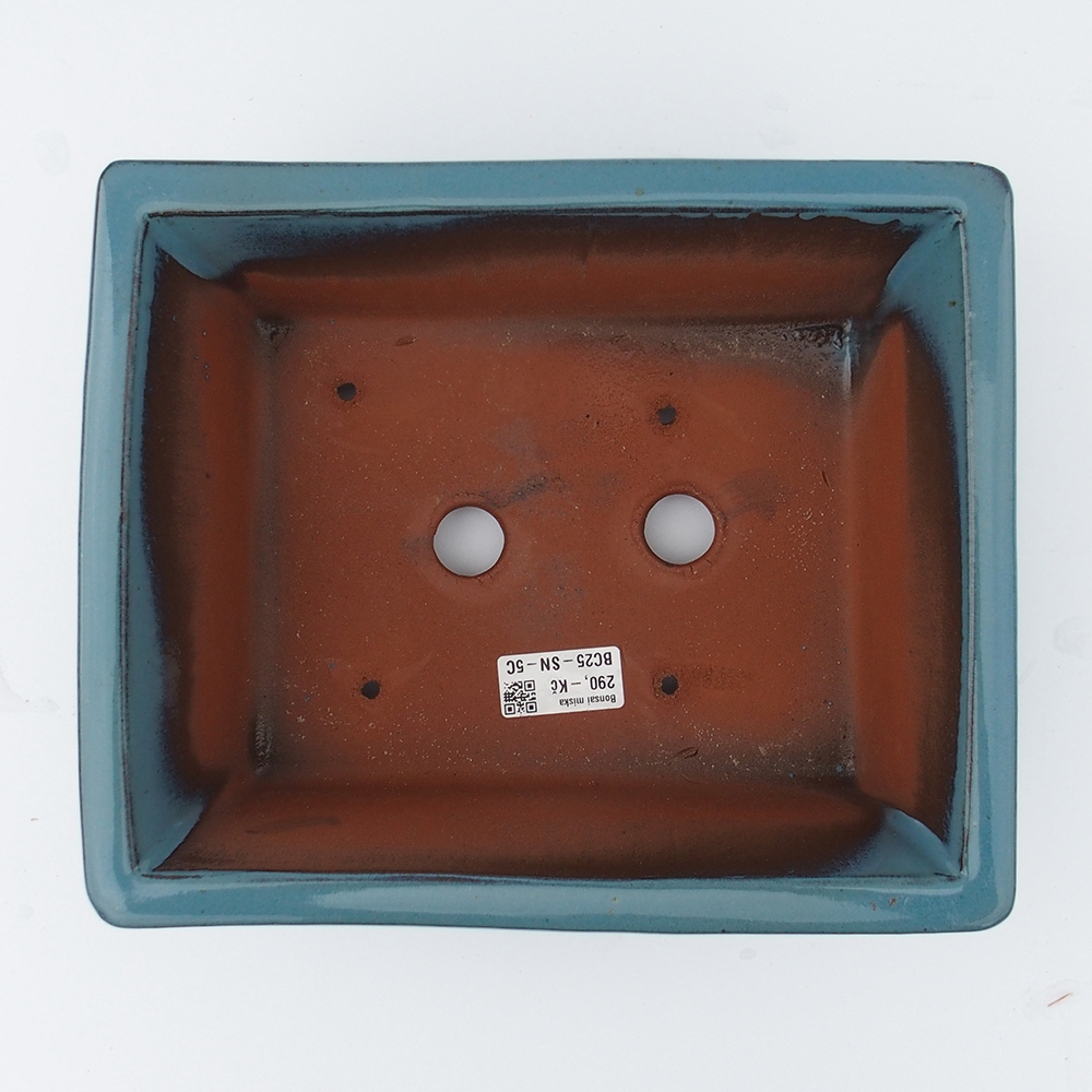 Miska 26 x 21,5 x 10 cm barva modrá
