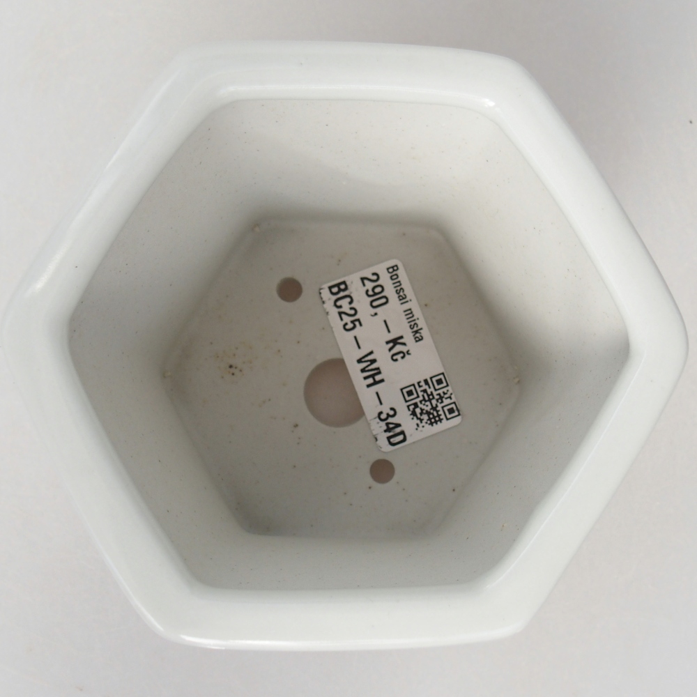 Keramická bonsai miska 10,5 x 9,5 x 9 cm, barva bílá