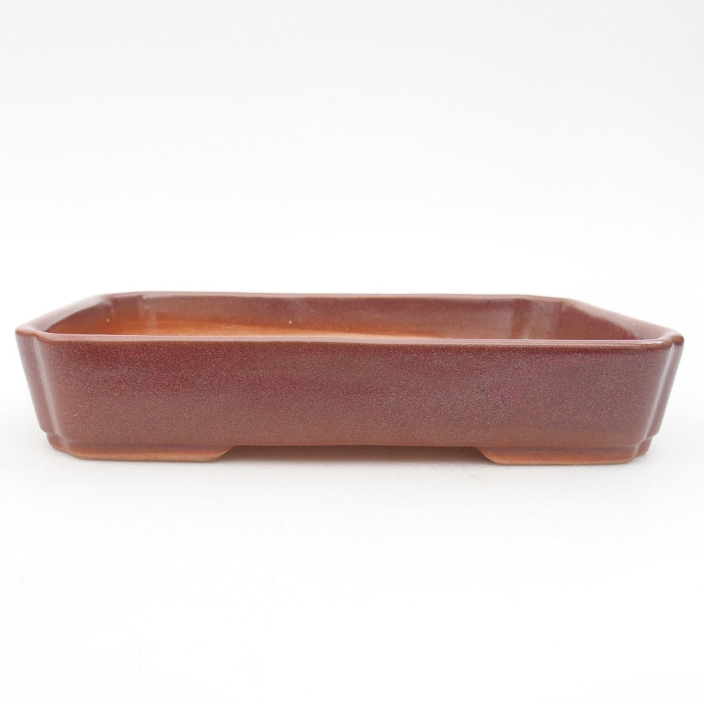 Keramická bonsai miska 18 x 13 x 3 cm, barva vínová