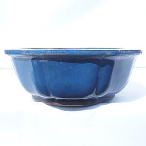Bonsai miska 36 x 36 x 13 cm barva modrá