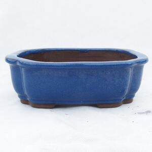 Bonsai miska 24 x 19 x 7,5 cm, barva modrá