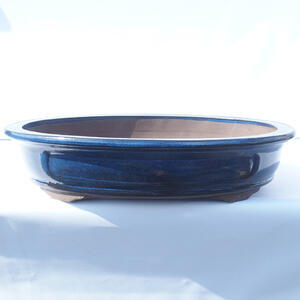 Bonsai miska 52 x 41 x 11,5 cm barva modrá