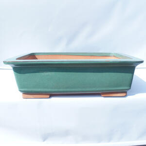Bonsai miska 53 x 41 x 16 cm barva zelená