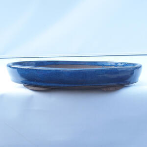 Bonsai miska 31 x 22 x 5 cm barva modrá