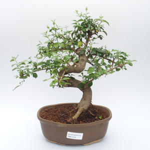 Keramická bonsai miska - 2.jakost