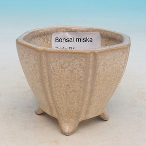 Keramicka bonsai miska