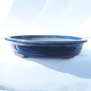 Bonsai miska 41 x 33 x 9 cm barva modrá