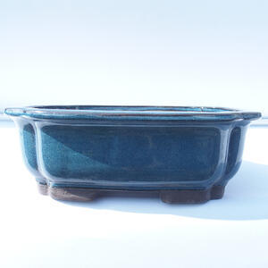 Bonsai miska 30 x 25 x 10 cm barva modrá