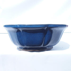 Bonsai miska 29 x 29 x 10 cm barva modrá