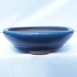 Bonsai miska 35 x 35 x 10 cm barva modrá