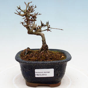 Keramická bonsai miska 17 x 17 x 7,5 cm, barva praskaná