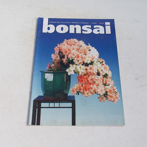 časopis bonsaj - ČBA 2001-1