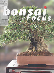 Bonsai focus č.137