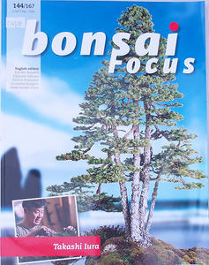 Bonsai focus - anglicky č.144