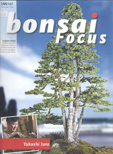 Bonsai focus č.144