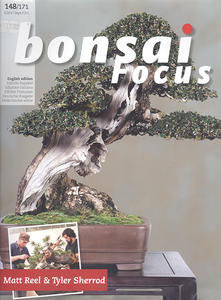 Bonsai focus č.148