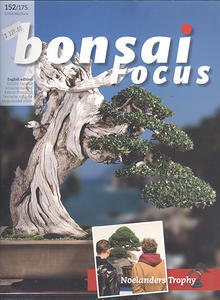 Bonsai focus č.152