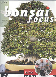 Bonsai focus č.157