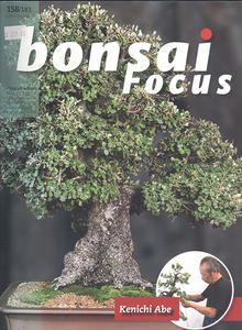 Bonsai focus č.158