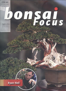 Bonsai focus č.159