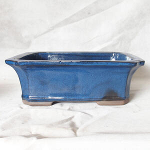 Bonsai miska 38 x 29 x 12 cm, barva modrá