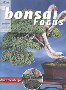 Bonsai focus č.163