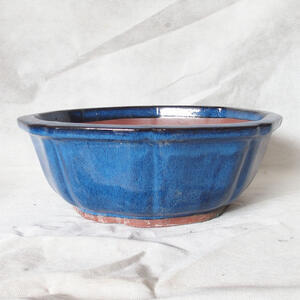 Bonsai miska 36 x 36 x 13 cm, barva modrá