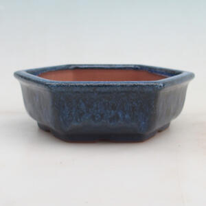 Bonsai miska 16 x 14 x 5 cm, barva modrá