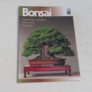 časopis bonsaj - ČBA 2009-2