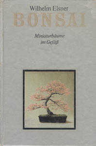 Bonsai Miniaturbäume im Gefäb