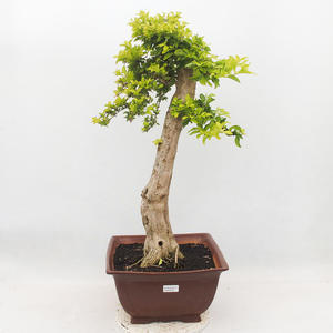Keramická bonsai miska 11 x 9,5 x 5,5 cm, barva hnědomodrá