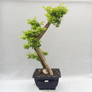 Keramická bonsai miska 29 x 29 x 8,5 cm, barva hnědozelená
