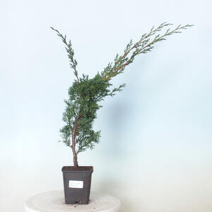 Keramická bonsai miska 25 x 25 x 6,5 cm, barva hnědomodrá