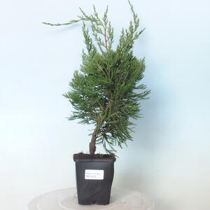 Keramická bonsai miska 18 x 18 x 5 cm, barva hnědomodrá