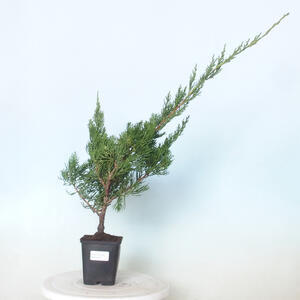 Keramická bonsai miska 20 x 20 x 6,5 cm, barva hnědomodrá