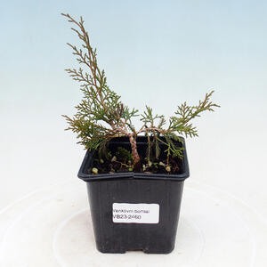 Keramická bonsai miska 15 x 15 x 9 cm, barva hnědožlutá - 2.jakost