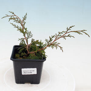 Keramická bonsai miska 13,5 x 13,5 x 5 cm, barva zelená