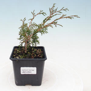 Keramická bonsai miska 12 x 12 x 5 cm, barva zelená