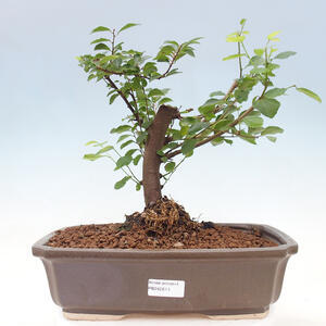 Keramická bonsai miska 9 x 9 x 4 cm, barva praskaná
