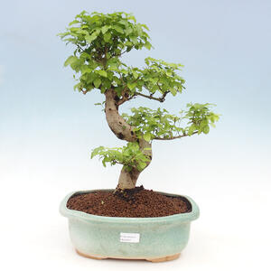 Keramická bonsai miska 10 x 10 x 8,5 cm, barva šedá