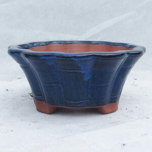 Bonsai miska 22 x 22 x 10 cm, barva modrá