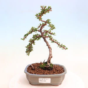 Keramická bonsai miska 41 x 32 x 7 cm, barva hnědá