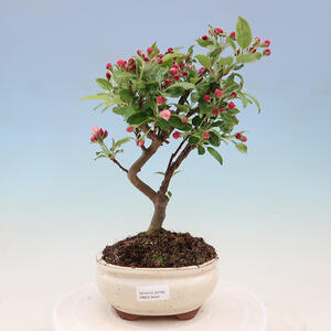 Keramická bonsai miska 16 x 11,5 x 4,5 cm, barva hnědožlutá