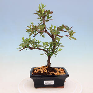 Keramická bonsai miska 13,5 x 10,5 x 2,5 cm, barva  hnědomodrá